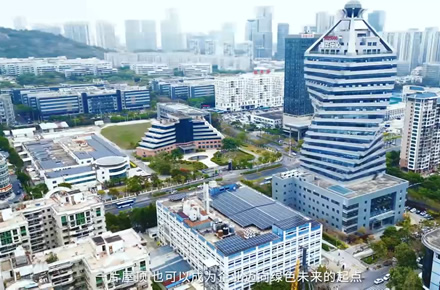 依托光伏绿色电力转型打造企业长远发展新优势